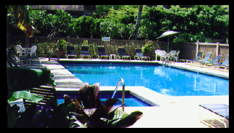 pool1.gif