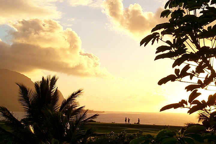 sunset-balihai-palms-beachocean.jpg